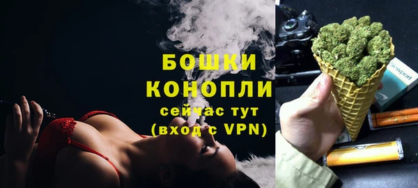 PSILOCYBIN Алзамай