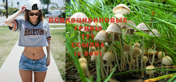 spice Алексин