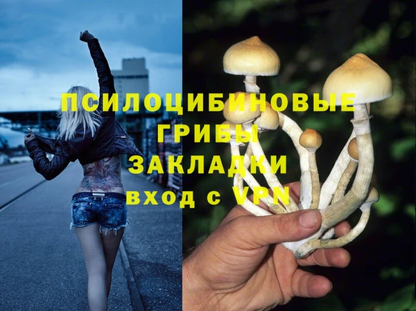 spice Алексин