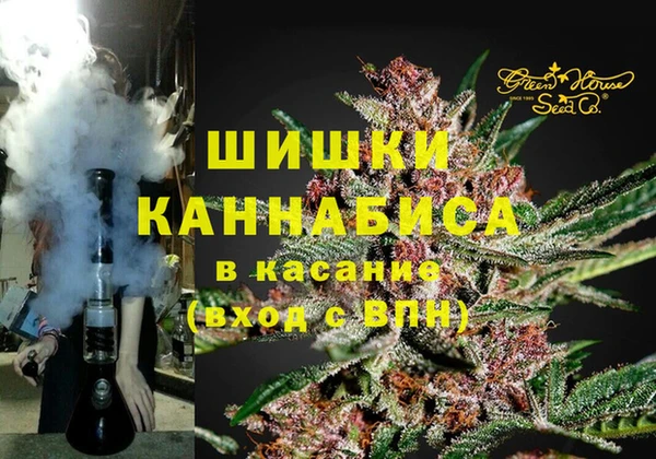 PSILOCYBIN Алзамай