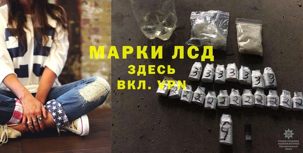PSILOCYBIN Алзамай