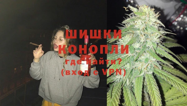 PSILOCYBIN Алзамай