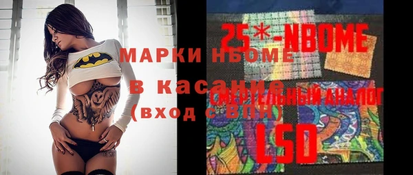 PSILOCYBIN Алзамай