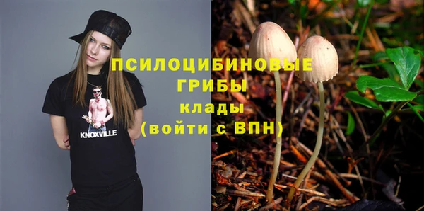 PSILOCYBIN Алзамай