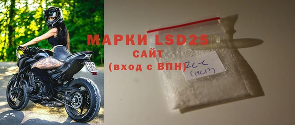 PSILOCYBIN Алзамай