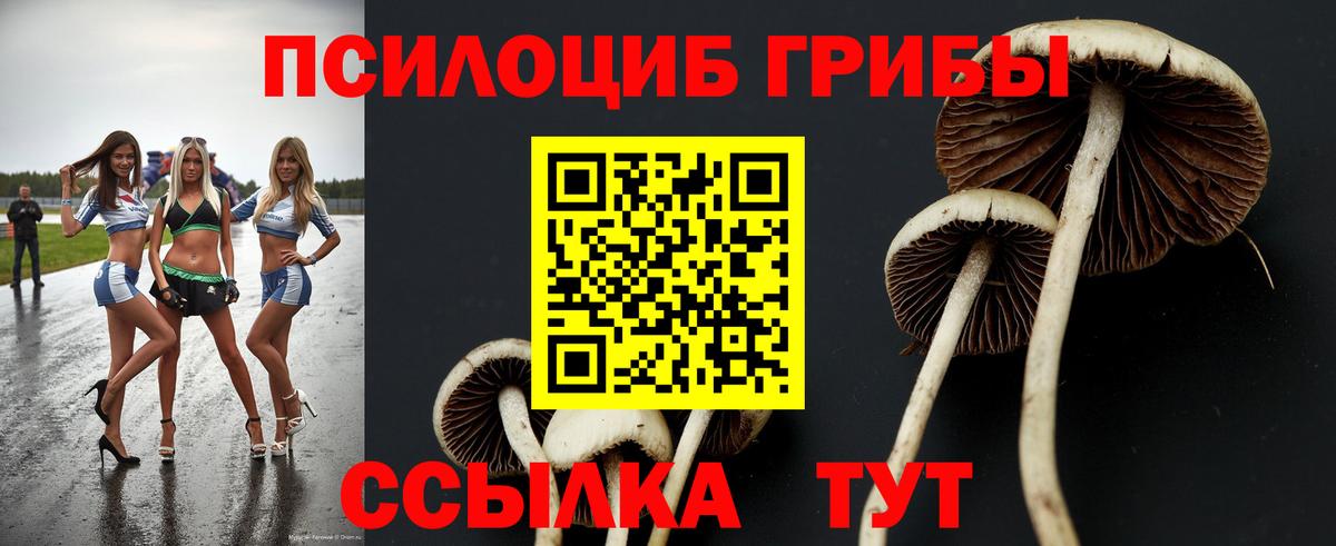 Галлюциногенные грибы MAGIC MUSHROOMS  Вход с VPN  Елабуга 