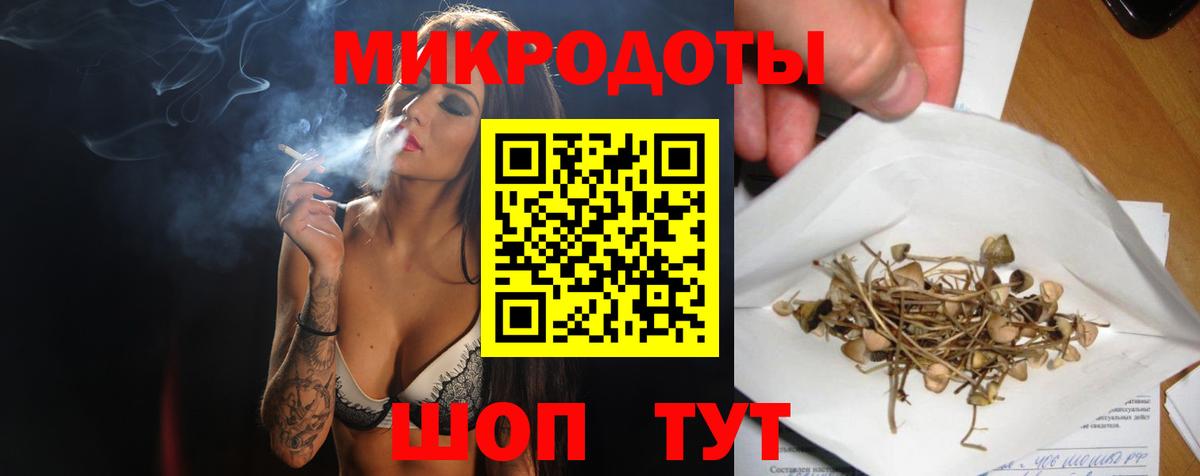 Галлюциногенные грибы Psilocybe Елабуга