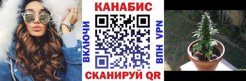 Марихуана план Елабуга